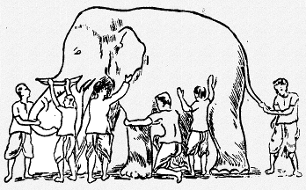 People touching different parts of an elephant.